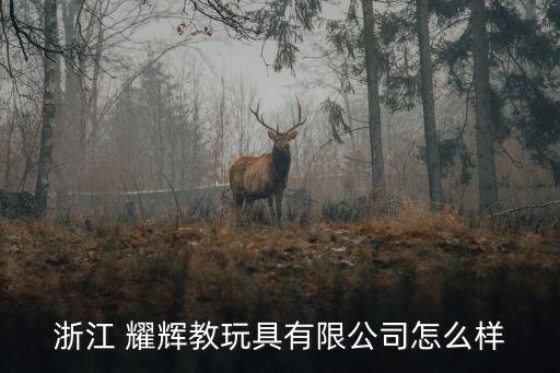 浙江 耀輝教玩具有限公司怎么樣