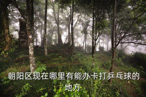  朝陽(yáng)區(qū)現(xiàn)在哪里有能辦卡打乒乓球的地方