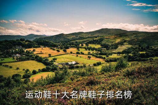 運(yùn)動(dòng)鞋十大名牌鞋子排名榜