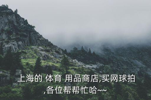  上海的 體育 用品商店,買網球拍,各位幫幫忙哈~~