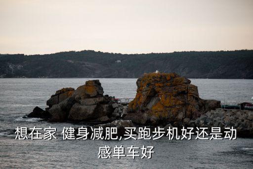 想在家 健身減肥,買跑步機(jī)好還是動感單車好