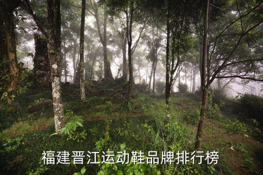 福建晉江運動鞋品牌排行榜