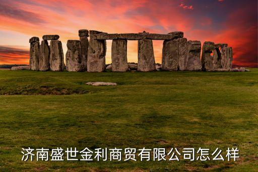  濟(jì)南盛世金利商貿(mào)有限公司怎么樣
