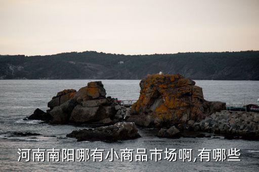 河南南陽哪有小商品市場啊,有哪些
