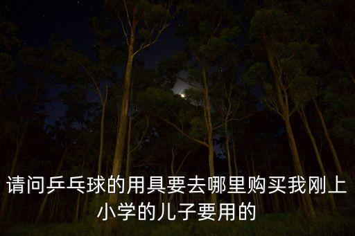 請(qǐng)問(wèn)乒乓球的用具要去哪里購(gòu)買(mǎi)我剛上小學(xué)的兒子要用的