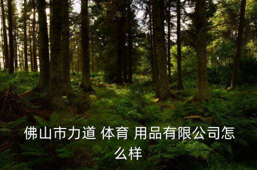  佛山市力道 體育 用品有限公司怎么樣