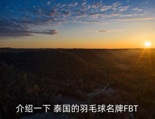 介紹一下 泰國(guó)的羽毛球名牌FBT