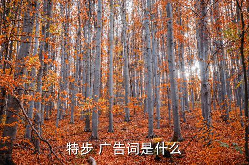 體育用品廣告語錄,關于體育用品的宣傳廣告
