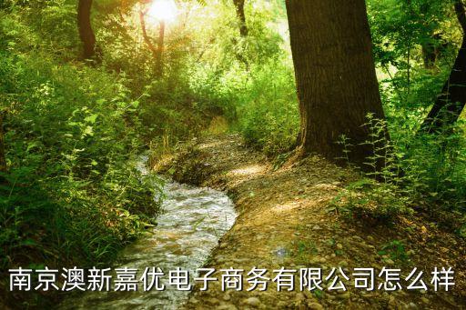 南京澳新嘉優(yōu)電子商務(wù)有限公司怎么樣