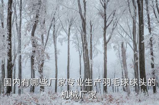 國(guó)內(nèi)有哪些廠家專業(yè)生產(chǎn)羽毛球球頭的機(jī)械廠家
