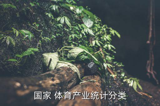 國家 體育產(chǎn)業(yè)統(tǒng)計分類