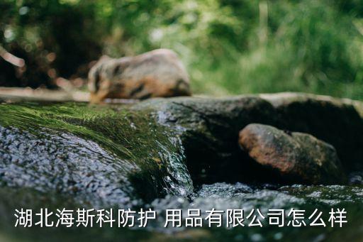 湖北海斯科防護 用品有限公司怎么樣