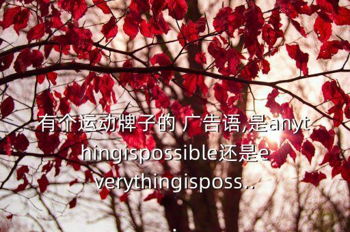 有個(gè)運(yùn)動(dòng)牌子的 廣告語(yǔ),是anythingispossible還是everythingisposs...