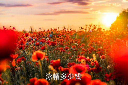 泳帽多少錢