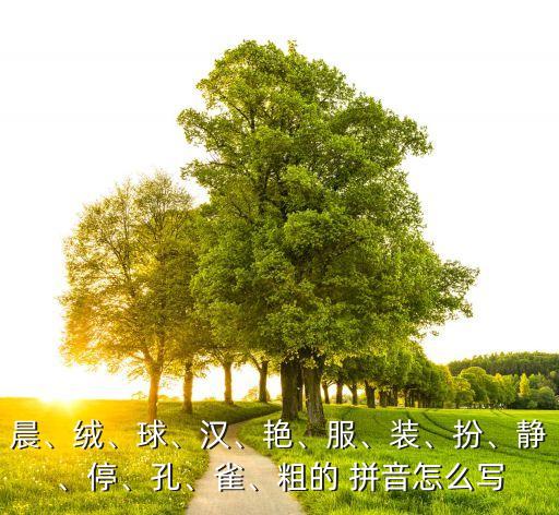 晨、絨、球、漢、艷、服、裝、扮、靜、停、孔、雀、粗的 拼音怎么寫