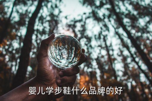 嬰兒學步鞋什么品牌的好