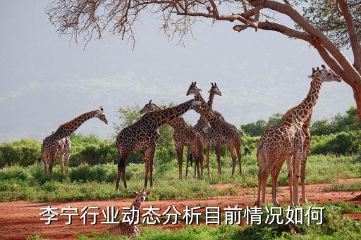  李寧行業(yè)動態(tài)分析目前情況如何