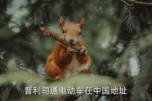 普利司通電動車在中國地址