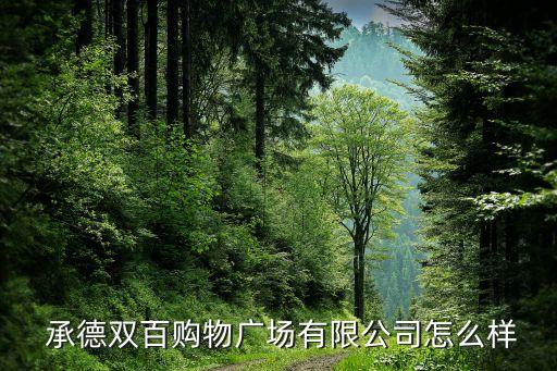  承德雙百購物廣場有限公司怎么樣