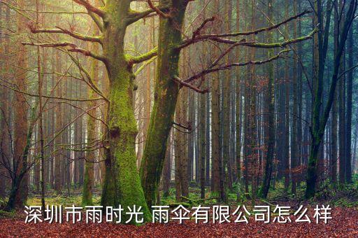 深圳市雨時光 雨傘有限公司怎么樣