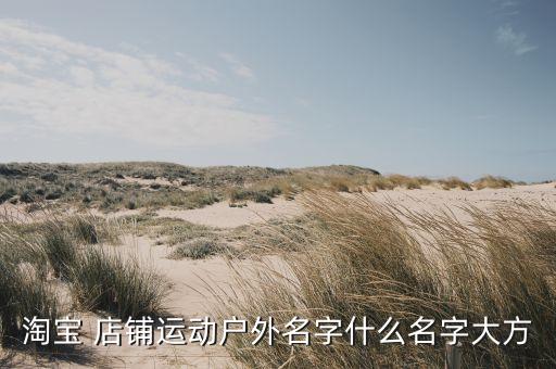 淘寶 店鋪運動戶外名字什么名字大方