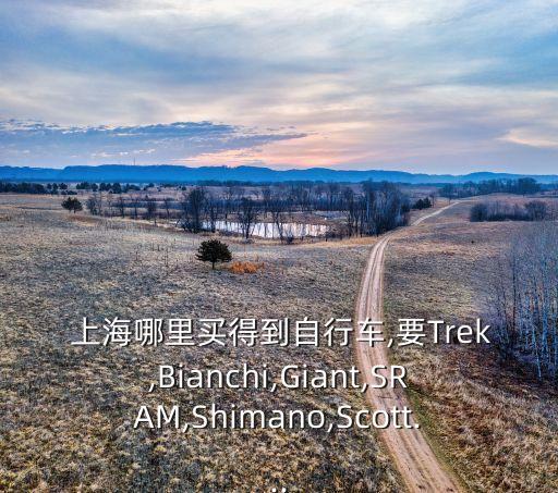  上海哪里買(mǎi)得到自行車,要Trek,Bianchi,Giant,SRAM,Shimano,Scott...