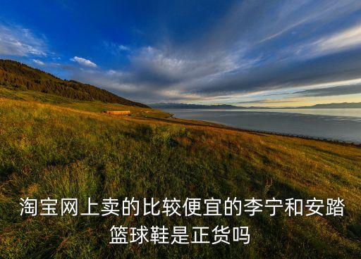  淘寶網(wǎng)上賣的比較便宜的李寧和安踏籃球鞋是正貨嗎