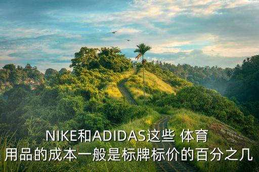 NIKE和ADIDAS這些 體育 用品的成本一般是標(biāo)牌標(biāo)價(jià)的百分之幾
