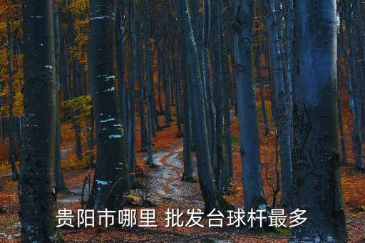 貴陽(yáng)市哪里 批發(fā)臺(tái)球桿最多
