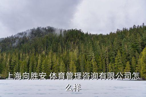 上海向勝安 體育管理咨詢(xún)有限公司怎么樣