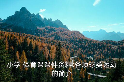 小學(xué) 體育課課件資料:各項球類運動的簡介