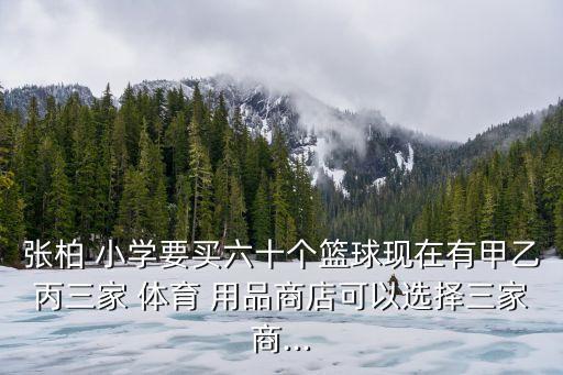 張柏 小學(xué)要買六十個(gè)籃球現(xiàn)在有甲乙丙三家 體育 用品商店可以選擇三家商...