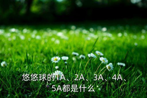  悠悠球的1A、2A、3A、4A、5A都是什么