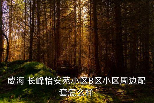 威海 長峰怡安苑小區(qū)B區(qū)小區(qū)周邊配套怎么樣