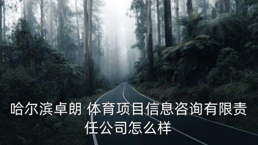 哈爾濱卓朗 體育項目信息咨詢有限責(zé)任公司怎么樣