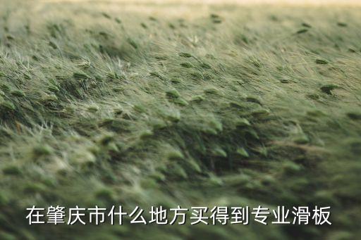 在肇慶市什么地方買(mǎi)得到專(zhuān)業(yè)滑板