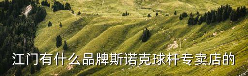 江門有什么品牌斯諾克球桿專賣店的