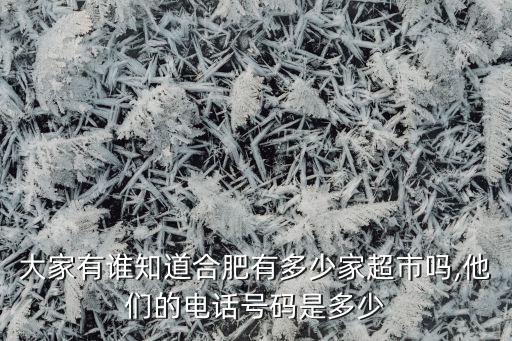 大家有誰知道合肥有多少家超市嗎,他們的電話號碼是多少