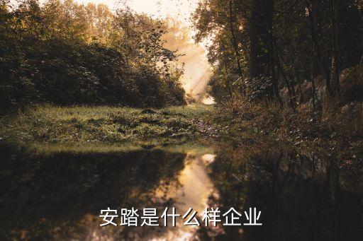 大型體育用品運(yùn)營公司