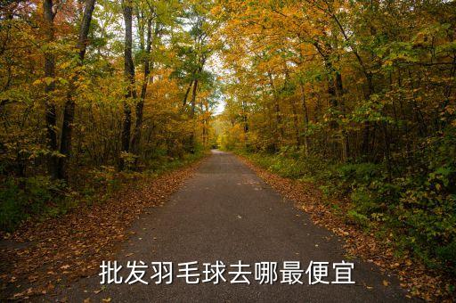 體育用品在哪里進(jìn)貨,成都市體育用品一條街在哪里