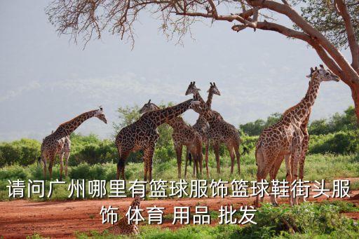 請(qǐng)問(wèn)廣州哪里有籃球服飾籃球鞋街頭服飾 體育 用品 批發(fā)
