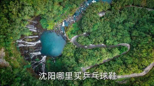  沈陽(yáng)哪里買(mǎi)乒乓球鞋