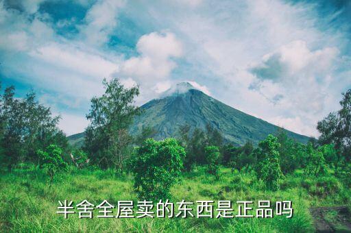 半舍全屋賣的東西是正品嗎