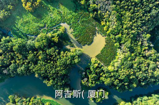 阿吉斯( 廈門
