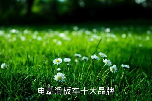 電動滑板車十大品牌
