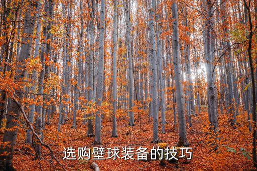 選購壁球裝備的技巧