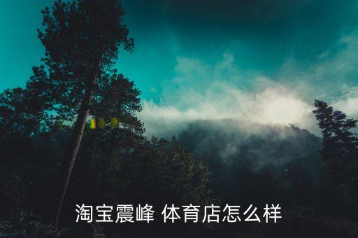 淘寶震峰 體育店怎么樣
