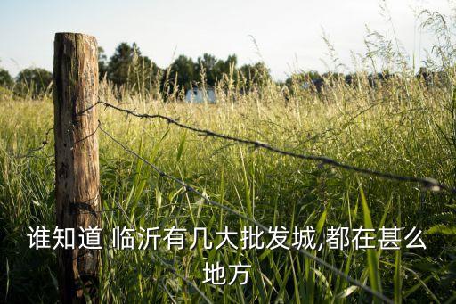 誰知道 臨沂有幾大批發(fā)城,都在甚么地方