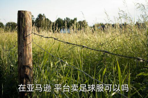 在亞馬遜 平臺賣足球服可以嗎
