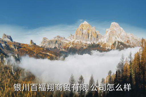 銀川百福翔商貿有限 公司怎么樣